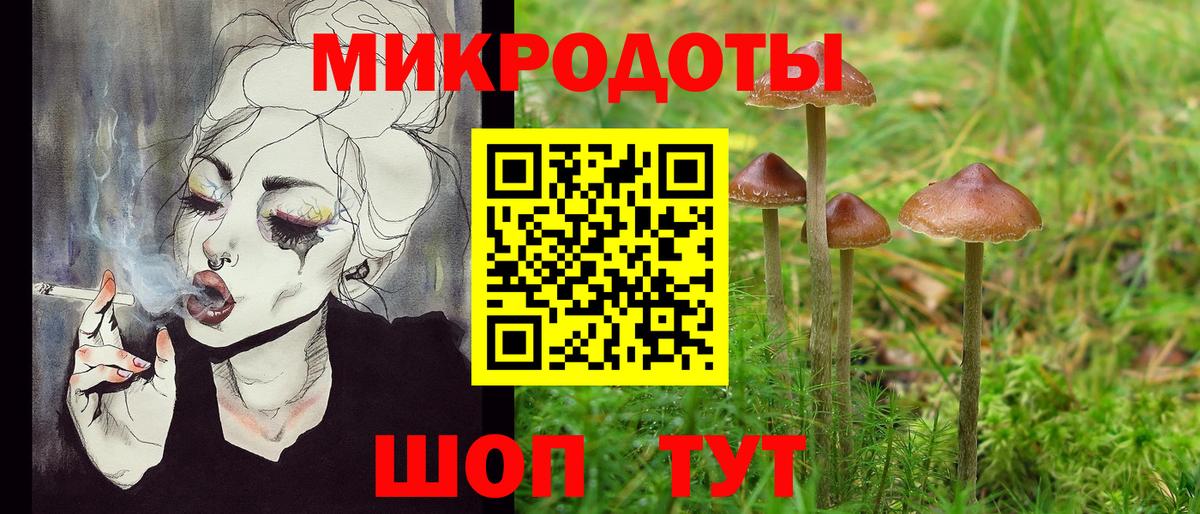 Зерноград  Галлюциногенные грибы Psilocybine cubensis  Вход с VPN 