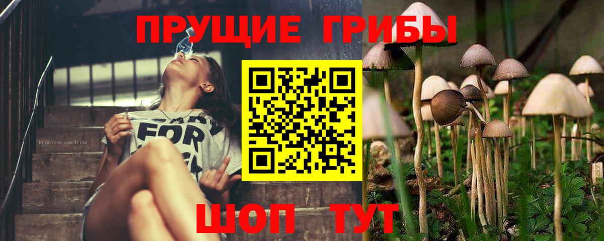 Меф Зерноград